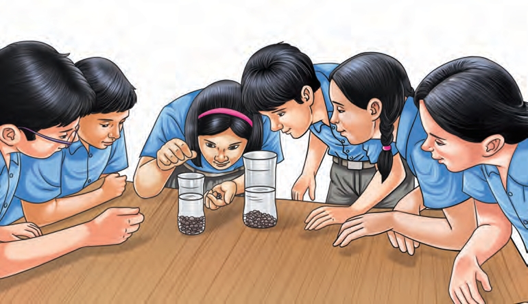 Fig. 1.9: Collaborative learning